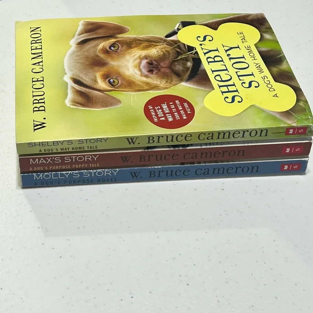 Scholastic new never